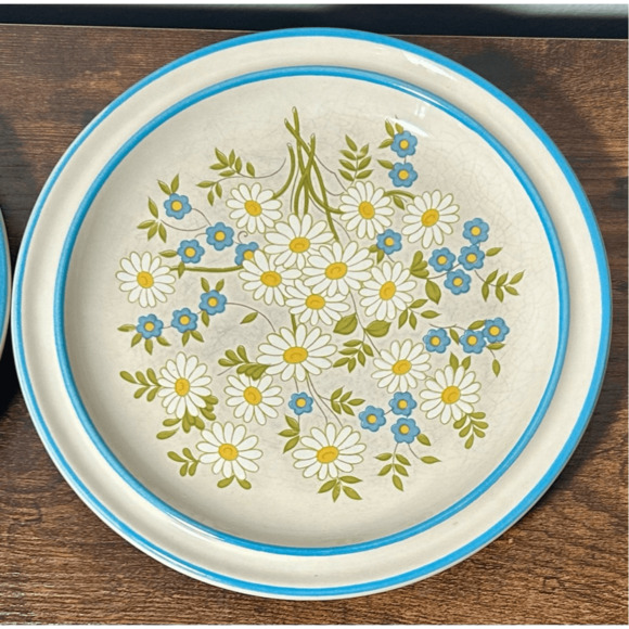 Vtg Pair Fairfield Mastercraft Stoneware Daisies Pattern Dessert/Salad Plates - Picture 4 of 10